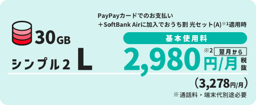 シンプル2 L 2,980円/月（税別）